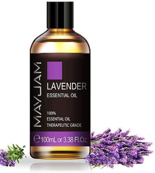 Aromaterapia para gatos: Aceite esencial de lavanda