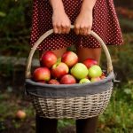 Celebrar Mabon