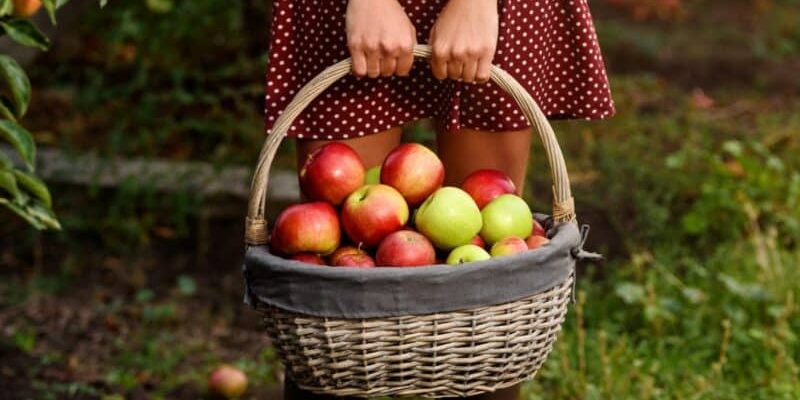 Celebrar Mabon
