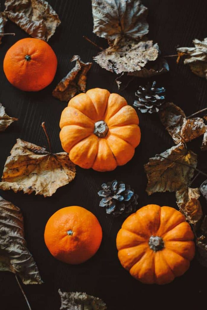 rituales samhain